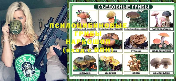 прущие крисы Абинск