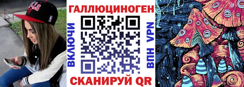 купить   Великий Новгород  OMG онион  даркнет телеграм  Псилоцибиновые грибы Cubensis 